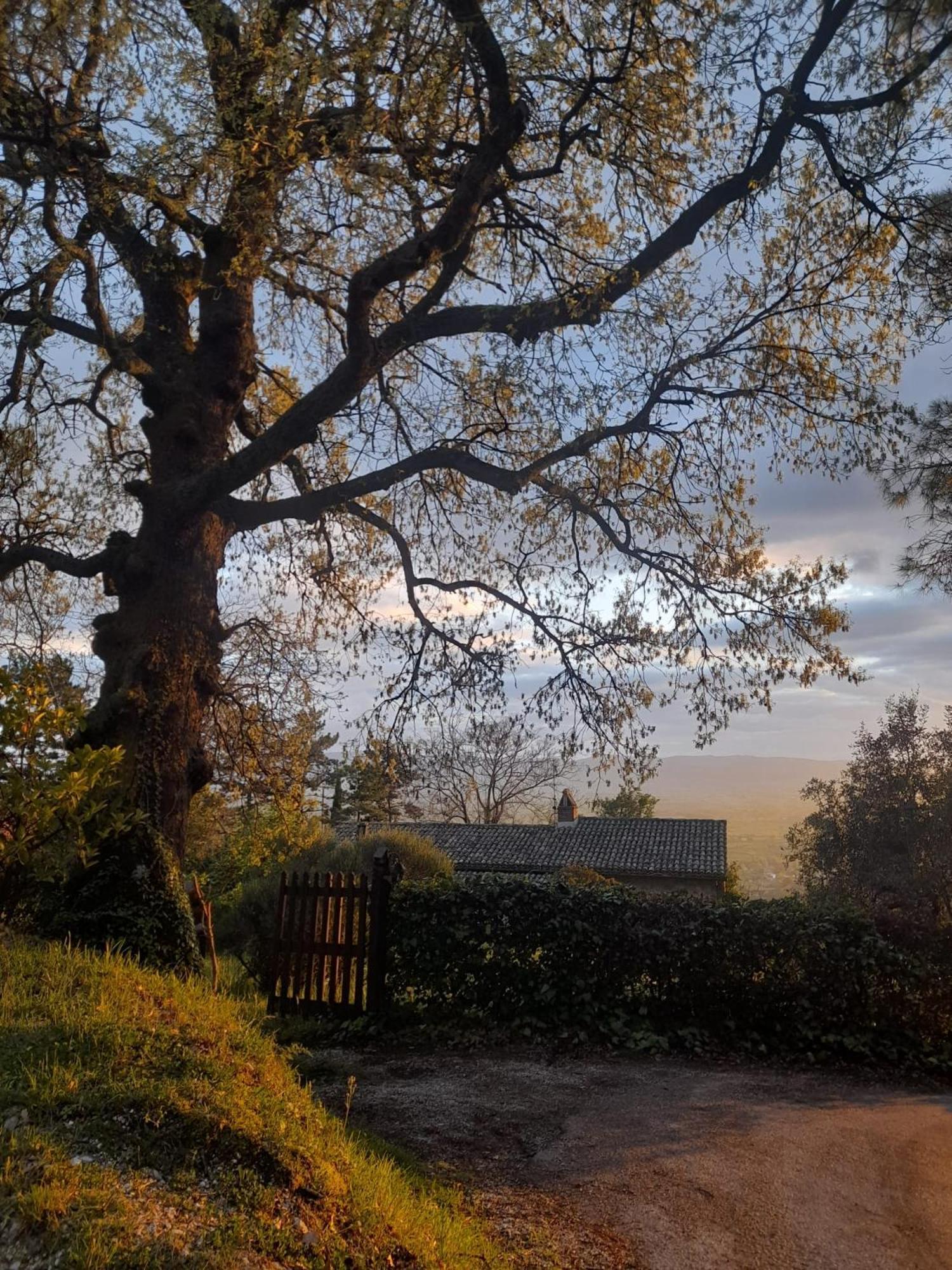 B&B Il Sentiero Di Assisi Bagian luar foto