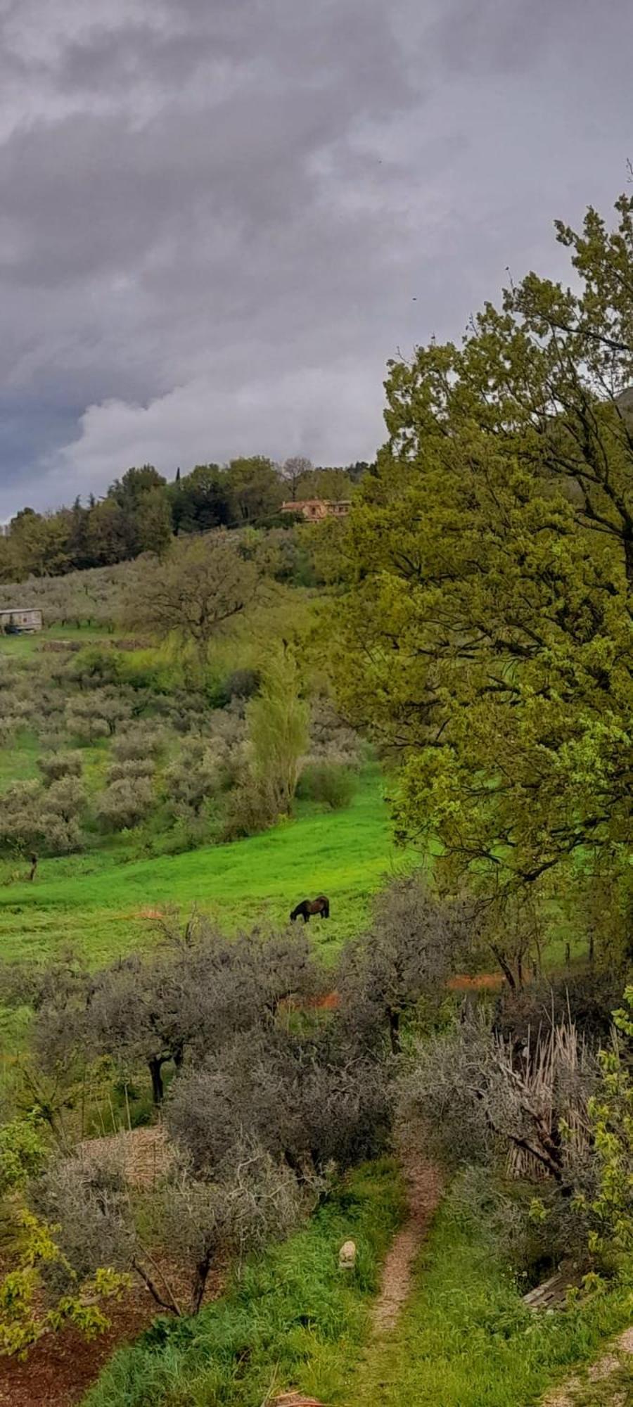 B&B Il Sentiero Di Assisi Bagian luar foto