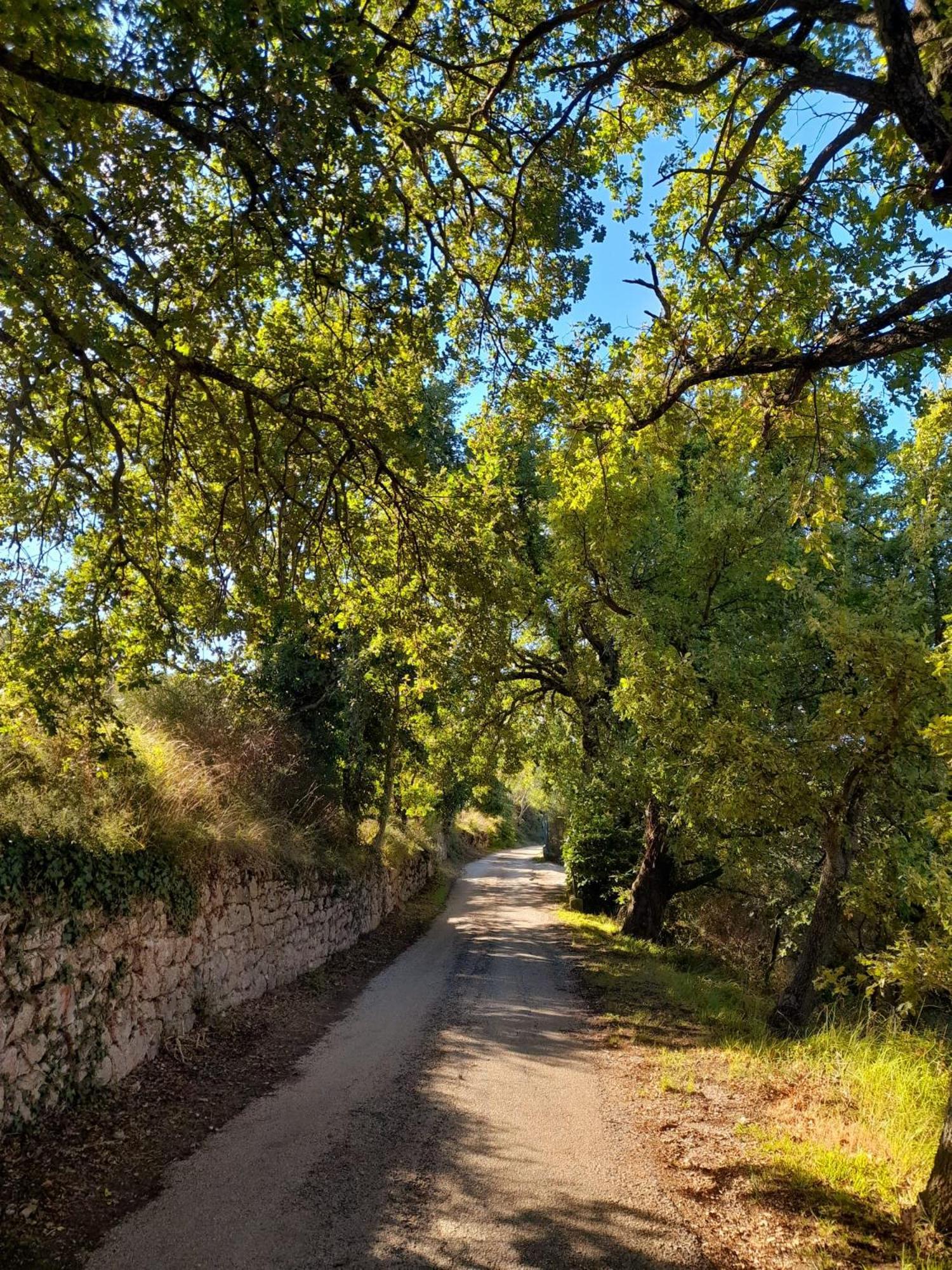 B&B Il Sentiero Di Assisi Bagian luar foto
