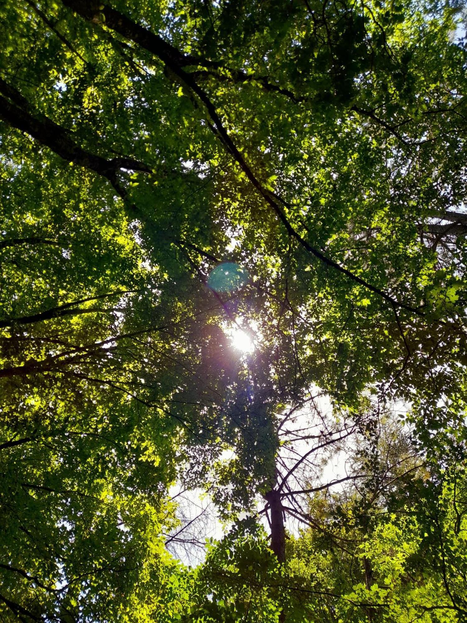 B&B Il Sentiero Di Assisi Bagian luar foto