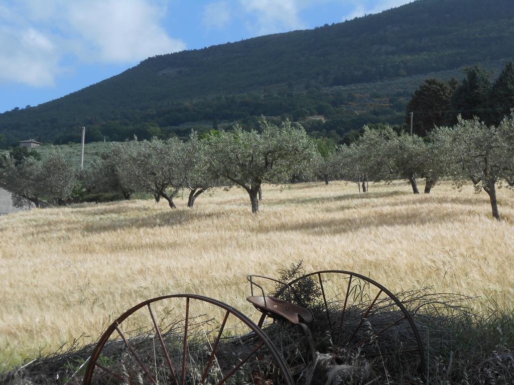 B&B Il Sentiero Di Assisi Bagian luar foto