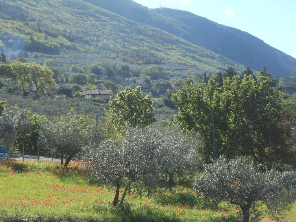 B&B Il Sentiero Di Assisi Bagian luar foto