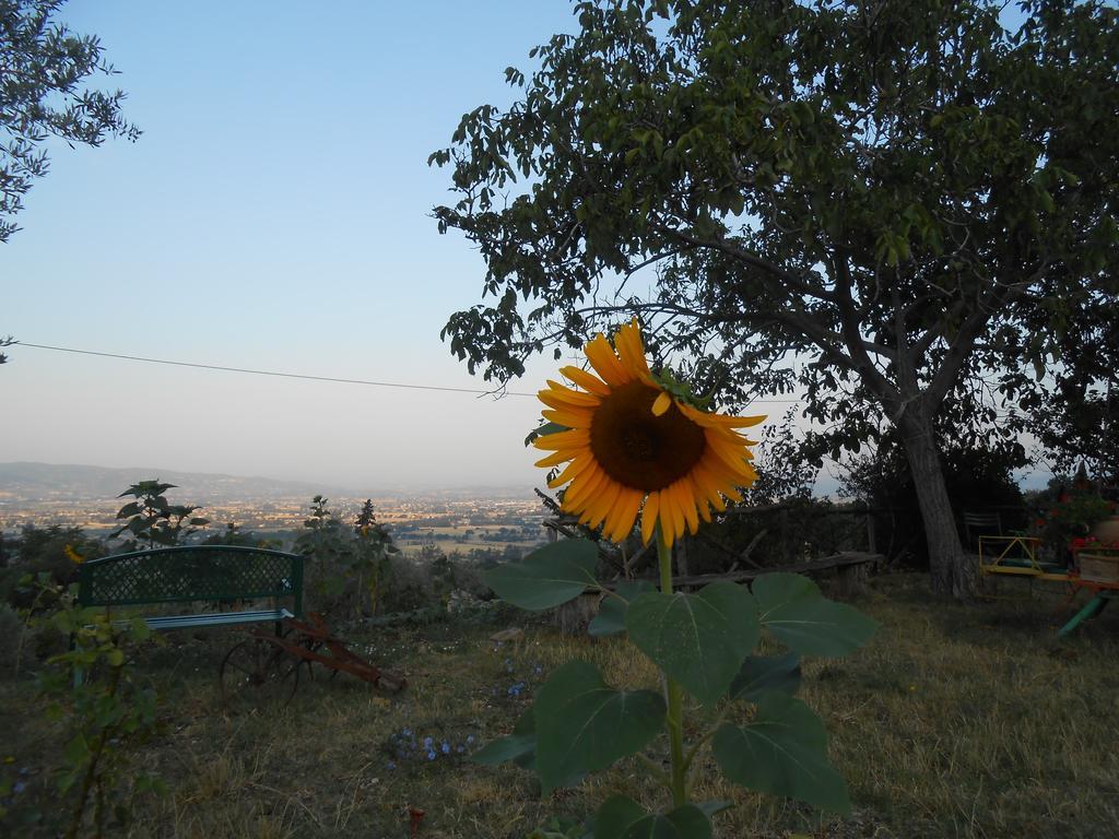 B&B Il Sentiero Di Assisi Bagian luar foto