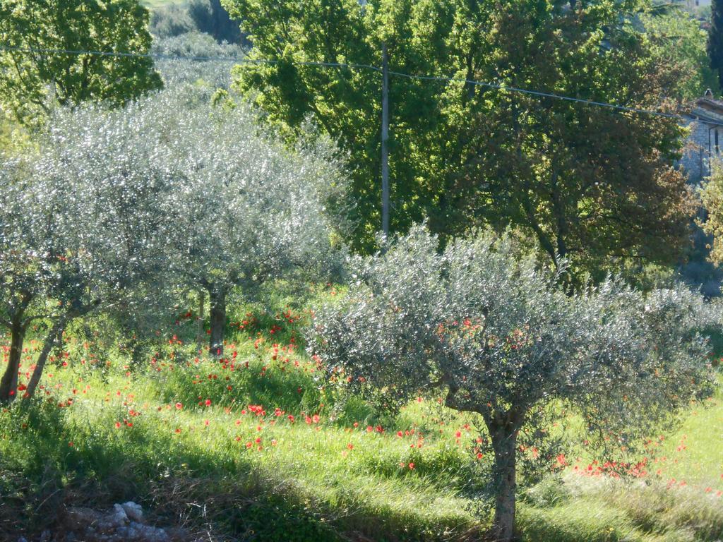 B&B Il Sentiero Di Assisi Bagian luar foto