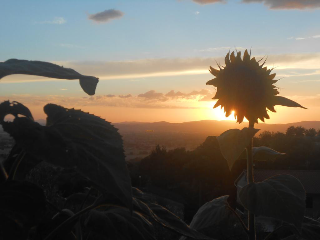 B&B Il Sentiero Di Assisi Bagian luar foto