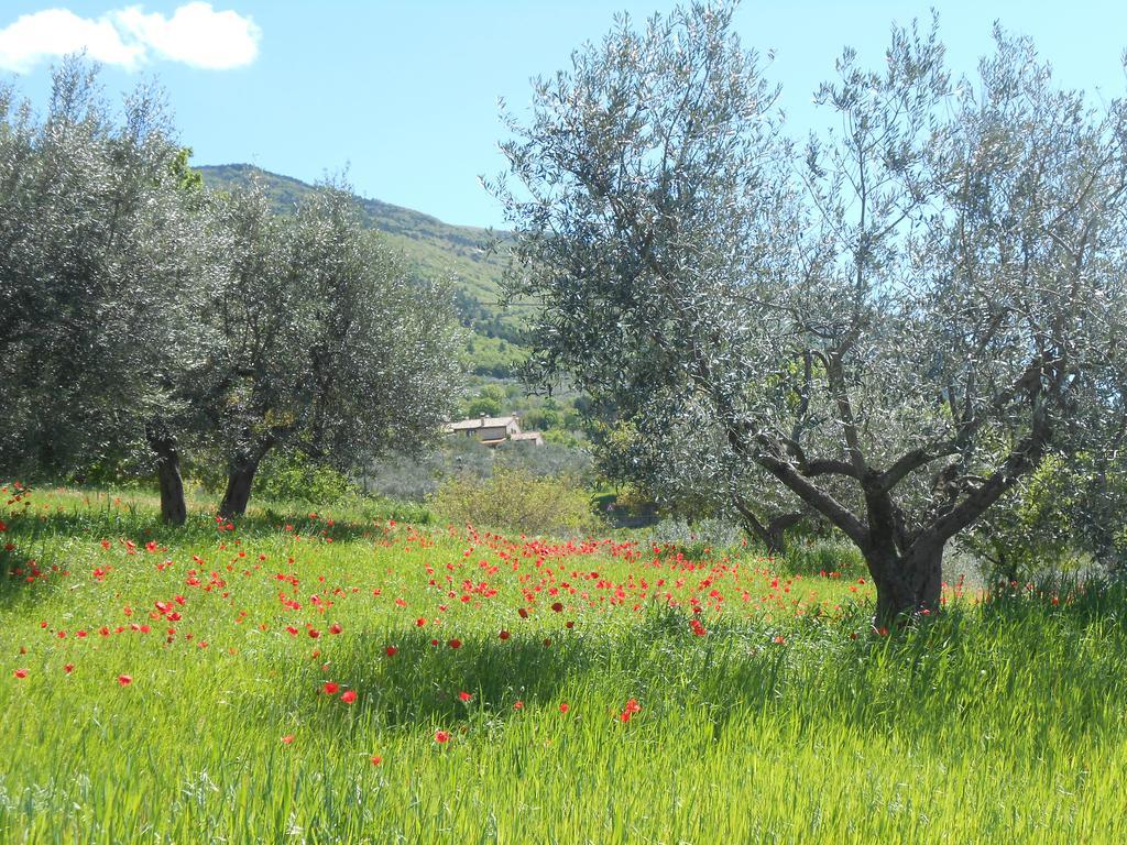 B&B Il Sentiero Di Assisi Bagian luar foto