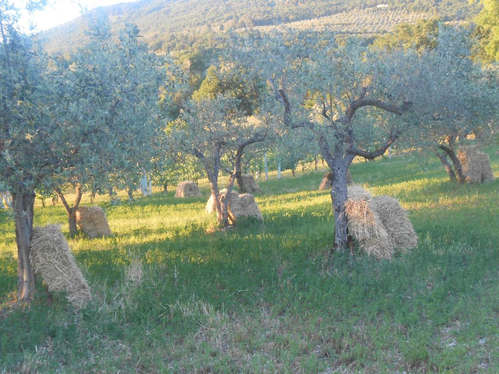 B&B Il Sentiero Di Assisi Bagian luar foto