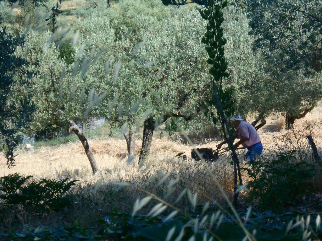 B&B Il Sentiero Di Assisi Bagian luar foto