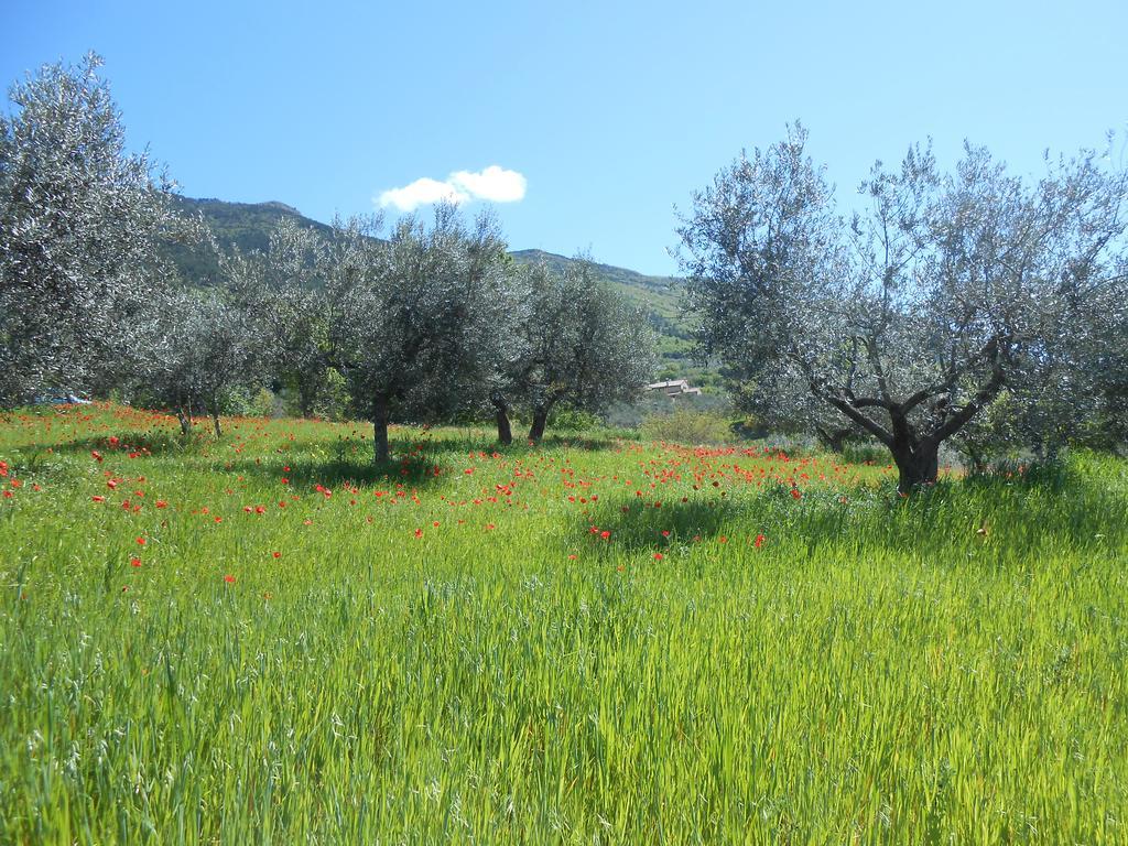 B&B Il Sentiero Di Assisi Bagian luar foto