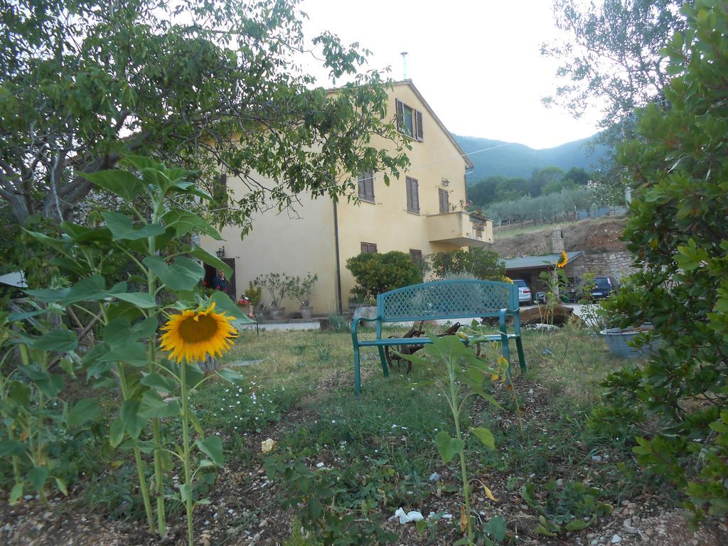 B&B Il Sentiero Di Assisi Bagian luar foto