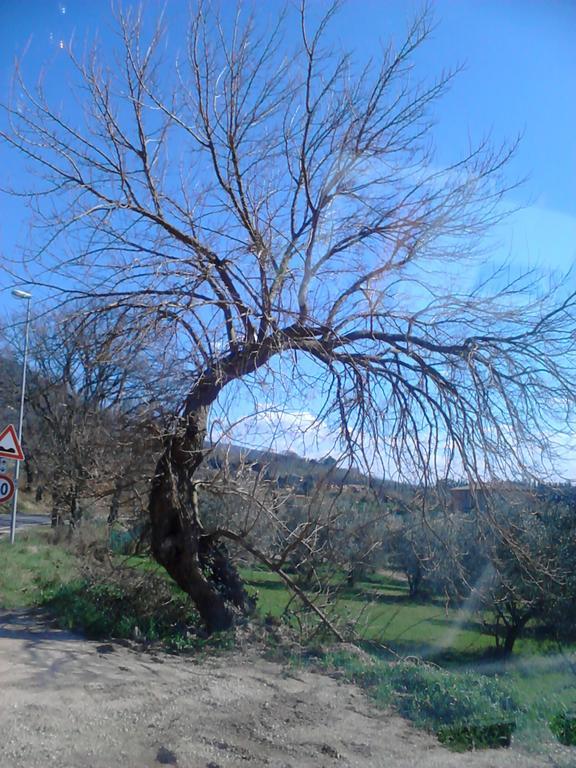 B&B Il Sentiero Di Assisi Bagian luar foto