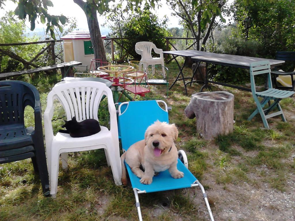 B&B Il Sentiero Di Assisi Bagian luar foto